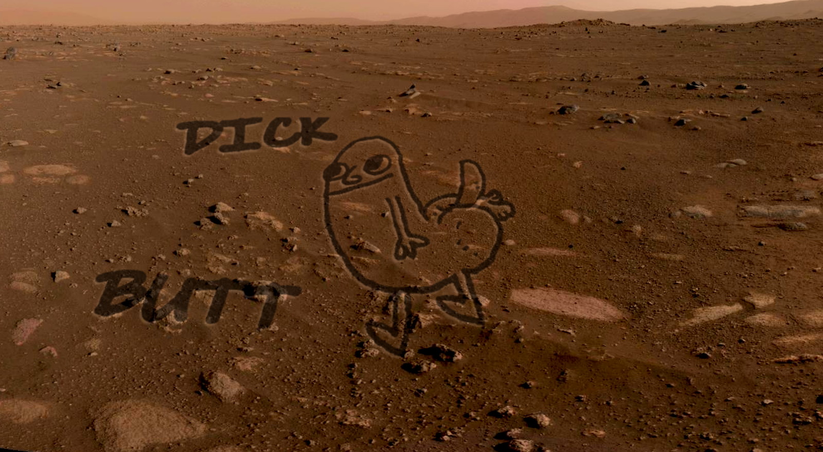 The image shared in the post: a dickbutt scratched into the Martian surface.